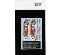 Decalcomania Museum Collection 1/12 Honda NSR500 '02 Fortuna per PMA D102