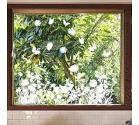 Decalcomania per finestra con farfalla floreale per adesione statica, 30,5 | Elegante motivo floreale a farfalla, per tecnologia ad adesione statica, senza colla, dimensioni 30,5 x 91,4 cm