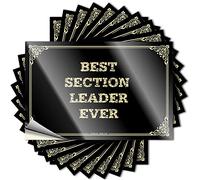 Decalcomanie & Best Section Leader Ever Cup per bicchiere impermeabile adesivo per porta per camera da letto - Segnali per piscina e decorazione all'aperto (8 x 12 cm, 5 pezzi)