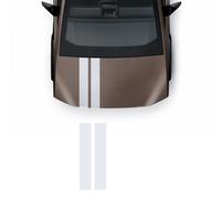 Decalcomanie cofano Doppia Linea Tesla Cybertruck