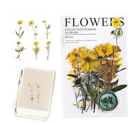 Decalcomanie di fiori secchi botanici - Decalcomanie di piante impermeabili | Decalcomanie per scrapbooking, arte e artigianato, diari, pianificatori, decorazioni per bottiglie, custodie per telefoni,