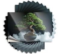 Decalcomanie per auto Un albero bonsai in un vaso nero con nuvole simili a fumo intorno ad esso. 10 adesivi per cassetta degli attrezzi per ragazze (8 x 12 cm)