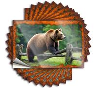 Decalcomanie per auto Un orso marrone in piedi su una recinzione di legno. Adesivi 10 adesivi per cassetta degli attrezzi per ragazze (8 x 12 cm)