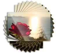 Decalcomanie per auto Una rosa rossa davanti a un tramonto. Adesivi 10 adesivi per ragazze per cassetta degli attrezzi (6 x 9 cm)