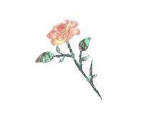 Decalcomanie per chitarra elettrica acustica intarsio adesivi decorativi per paletta per chitarra Adesivo per paletta per chitarra