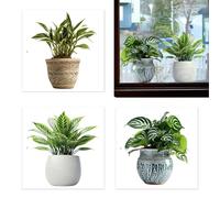 Decalcomanie per finestre, adesivi per piante, adesivo per vasi da finestra, adesivo in vetro visibile su entrambi i lati, adesivi per piante verdi in vaso, per decorazioni statiche per la casa