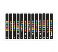 Decalcomanie per tasti della chitarra, supporta lo sviluppo della teoria musicale attraverso il rinforzo visivo degli intervalli, toni di accordi e gradi di scala (nero)