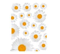 Decali Per Finestre Elettrostatiche - Adesivi In Floreale Margherite | Fiori Si Aggrappati Alla Finestra | Filtro Della Finestra Decorativa Semitrasparente Per La Privacy E Il Filtro Della Luce