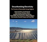 Decarbonising Electricity: The Promise of Renewable Energy Regions