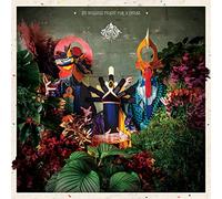 Decasia - An Endless Feast for Hyenas