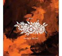 Decay Staring at the Sun (Vinyl LP) 12" Album