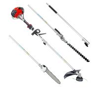 Decespugliatore multifunzione DSH 2500 D decespugliatore, tagliasiepi, potatore