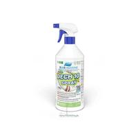 DECH 10 SPRAY ELIMINA RUGGINE 750 ML
