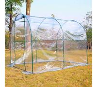 DecHome - Serra da Giardino Per Piante a Tunnel in Pvc 250x200x200 cm