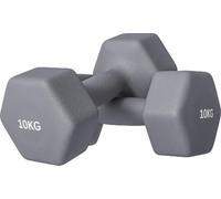 DecHome - Set 2 Manubri Esagonali da 2x10 kg in Metallo e Plastica con Impugnatura Antiscivolo 26x12x12 cm colore Grigio - GYA775F