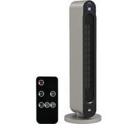 DecHome Stufa Elettrica Oscillante Argento DCH-820287A