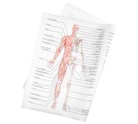 DECHOUS 1pezzi Poster Anatomia Umana su Tessuto Resistente Immagine Muscoli e Scheletro Chiara per Insegnamento Scolastico e Studio Medico per Decorazione Pareti Educative