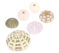 DECHOUS 2 Set Conchiglia Conchiglia Acquario Refrigeratore Decorazioni Acquario Che Fanno Aria Sfondo Acquario Felce Mini Riccio di Mare Conchiglia Ricci Medusa Supporto per 6 Pezzi*2