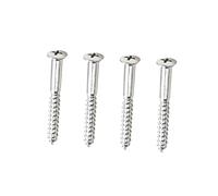 DECHOUS 4pezzi Viti Per Piastra Del Manico Della Chitarra Viti Di Ricambio Per Piastra Di Montaggio Del Giunto Del Manico in Metallo