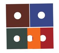 DECHOUS 5pezzi Custodie per Dischi in Vinile Protettive e Resistenti allo Strappo per Mantenere L'archivio di Dischi in Vinile Pulito e Protetto da Graffi e Danni