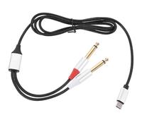 DECHOUS Cavo Audio USB Type-c a Doppio Jack da 6,35 Mm da 1 M, Adattatore per Amplificatore e Mixer, Cavo di Trasferimento Audio per Smartphone, Tablet e Laptop