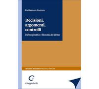 Decisioni, argomenti, controlli. Diritto positivo e filosofia del diritto