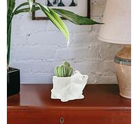 DECIVER POTTO POTTO DI FLOORE CERAMICO 1pC Contenitore di piante piccole per