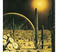 Decker. Born To Wake Up (Vinyl LP)