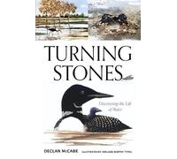 Declan McCabe Turning Stones (Tascabile)