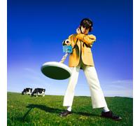 Declan McKenna What Happened to the Beach? (Vinyl LP)