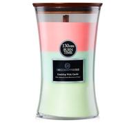 DECO EXPRESS Candele Profumate con 3 Profumo a Strati Trilogia Candele Lunga Durata Decorazioni Casa, Regalo Candele (Pesca e gelsomino/Lenzuola fresche/Lascia che nevichi)