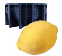 Déco Relief - Stampo in silicone al limone - Stampo Trompe Occhio per Pasticceria - DR274A