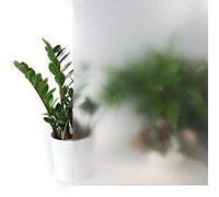 DecoMeister Pellicola Statica per Finestre 90x150 cm - Pellicola per Vetri Decorativa in PVC Perdita di Luce e Senza Colla - Facile da Applicare per Finestra e Cabina Doccia - Gelo