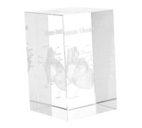 DECOMELODY Ornamenti Intagliati in Cristallo Ornamento Umano Accessori Per Palloni Piatto Scheletro Del Corpo Umano Caddy Anello Per Pesi Per Attrezzature Da Laboratorio Transparent