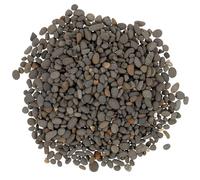 DECOMELODY Sassi Decorativi Naturali per Mini Giardino Pietre per Acquari e Micro Paesaggi Decorazione Sabbia e Terrari Rocce per Mini Scenografia e Bonsai