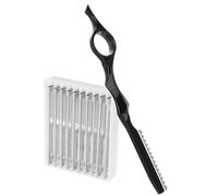 DECOMELODY Set Professionale per Rasoi da Sfoltire Chioma con 10 Lame Sostituibili, Manico Ergonomico in Acciaio Nero, per Uso in Salone e Taglio Preciso