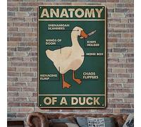 Decor Anatra Oca Targhe divertenti Poster con animali carini, Targa in metallo retrò - Anatomia di un'oca - Targa in metallo vintage da 8x12 pollici Poster divertente Decorazione con oca per bagno, uf
