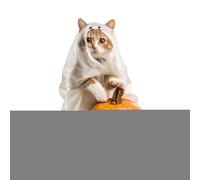 Decor con paletti di cantiere del gufo - di pollo 2d | Decorazione statue di Halloween Cat Yard | Silhouettes di palette decorative in metallo zucca pollo e alberi per il canotto di cortil