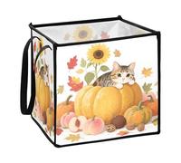 decor gift Cestini pieghevoli in feltro per l'organizzazione del libro carino Ciao Autunno Autunno Gatto Zucca Girasole L
