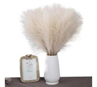 Decor In Finta - Pampas Grass | Reed Artificiale Alto E Soffice Con Ramo Di , Pampa E Grana Faccosa Bulrush Bulrush Bulrush Per Colpa Per Riempitivo Per La Fattoria Del Vaso Arredamento