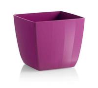 Decor Space Vaso quadrato da esterno Color Santiago per piante e fiori (13 cm, Peonia)
