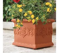 Decor Space Vaso Quadro Uva quadrato in resina con decorazione per esterno "Made in Italy" (35 cm, Terracotta)