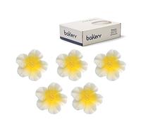 Decora 0500175 Confezione da 12 Azalea Bianco Con Centro Giallo