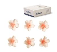Decora 0500176 Confezione da 12 Azalea Bianco Con Centro Pesca