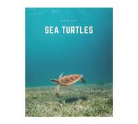 Decora Book Co. Decora Book Co Sea Turtles (Tascabile) Ocean Life Book