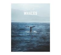 Decora Book Co Whales (Tascabile) Ocean Life Book