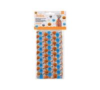 DECORA SACCHETTI 12X24 CM TESCHI 20 PZ