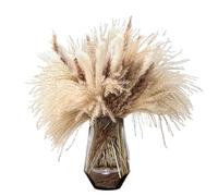 decorare la casa con fiori secchi, Bouquet di erba di pampa secca for decorazioni domestiche for matrimoni, confezione da 62 o 100 bastoncini(62 Sticks as Shown)