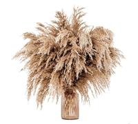 decorare la casa con fiori secchi, Bouquet di fiori secchi decorativi in erba della pampa, confezione grigia di diverse misure(5pcs)