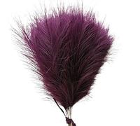 decorare la casa con fiori secchi, Confezione da 1/5/10/30 erba artificiale della pampa multicolore(003deep Purple,5pcs)